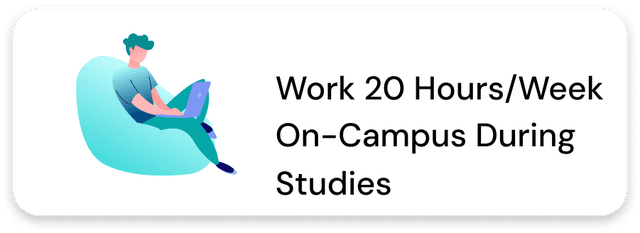 Work 20 Hours/Week During Studies