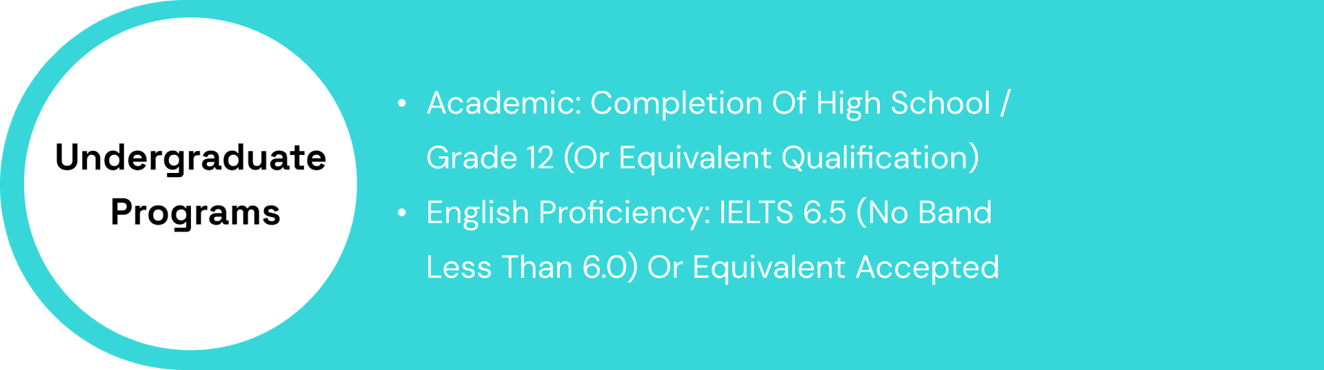 Undergraduate Programs Requirements