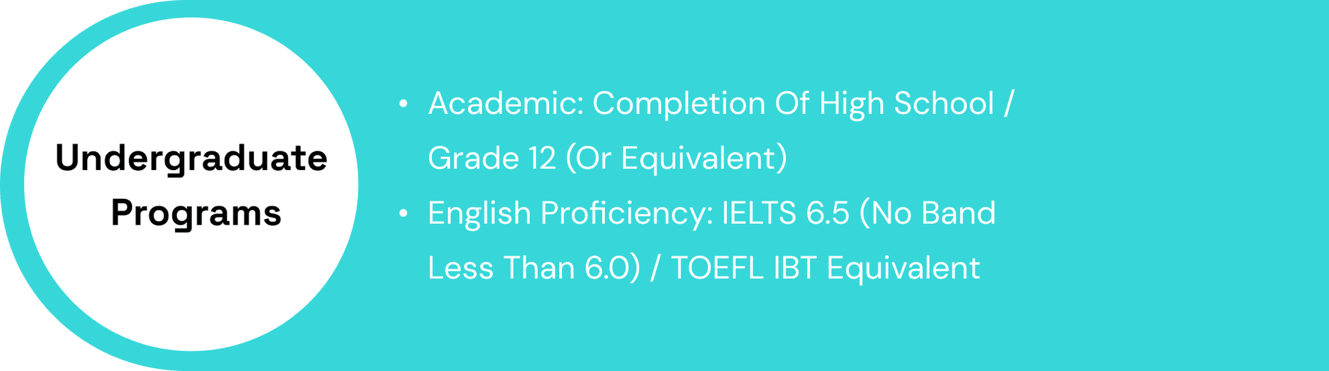 Undergraduate Programs Requirements