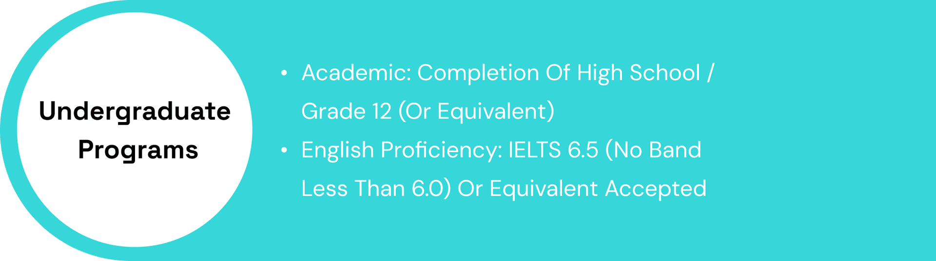 Undergraduate Programs Requirements