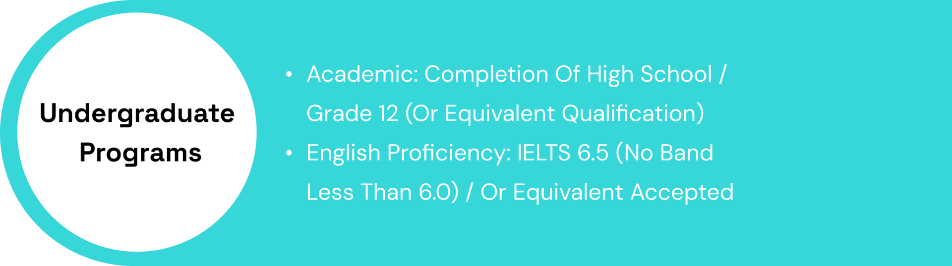 Undergraduate Programs Requirements