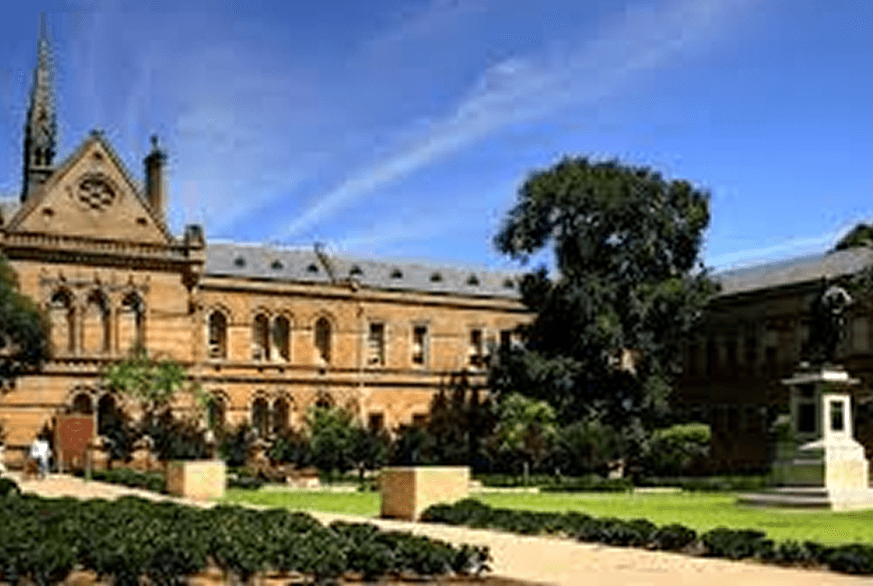 The University Of Adelaide